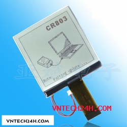 COG LCD 160160A